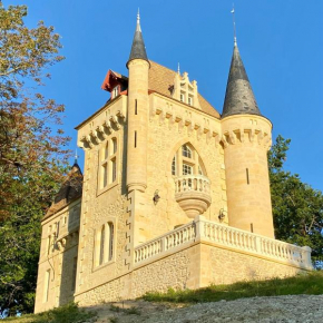 La Réserve du Château de Roques